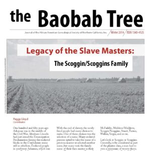 the Baobab Tree, Winter 2014