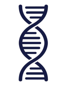Image of DNA Helix that links to the DNA Discussion Group