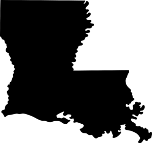 Silhouette image of the State of Louisiana that links to the AAGSNC Louisiana Discussion Group