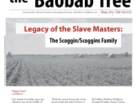 the Baobab Tree, Winter 2014