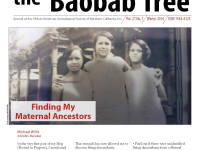 the Baobab Tree, Winter 2016